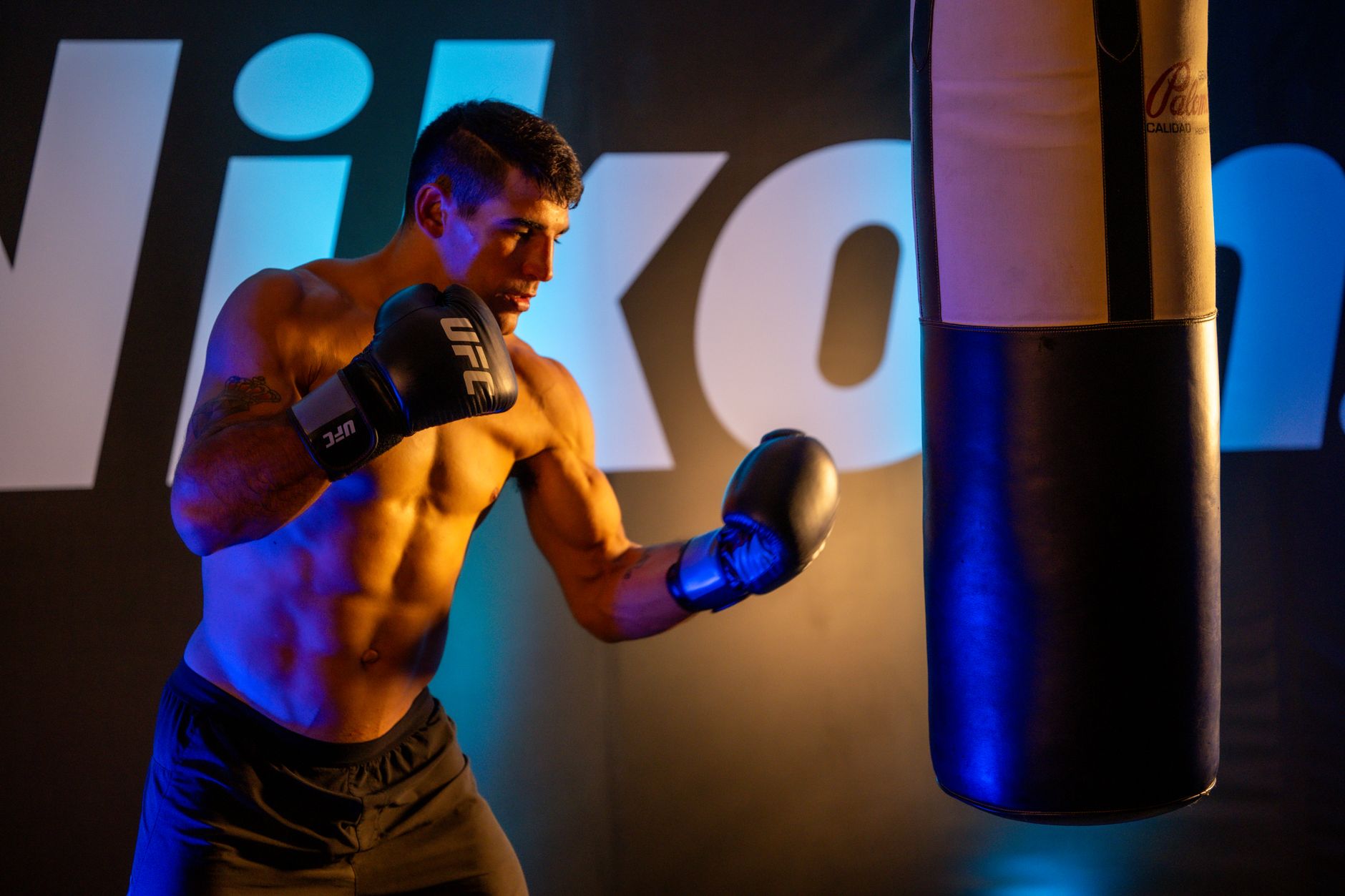 catégories UFC poids