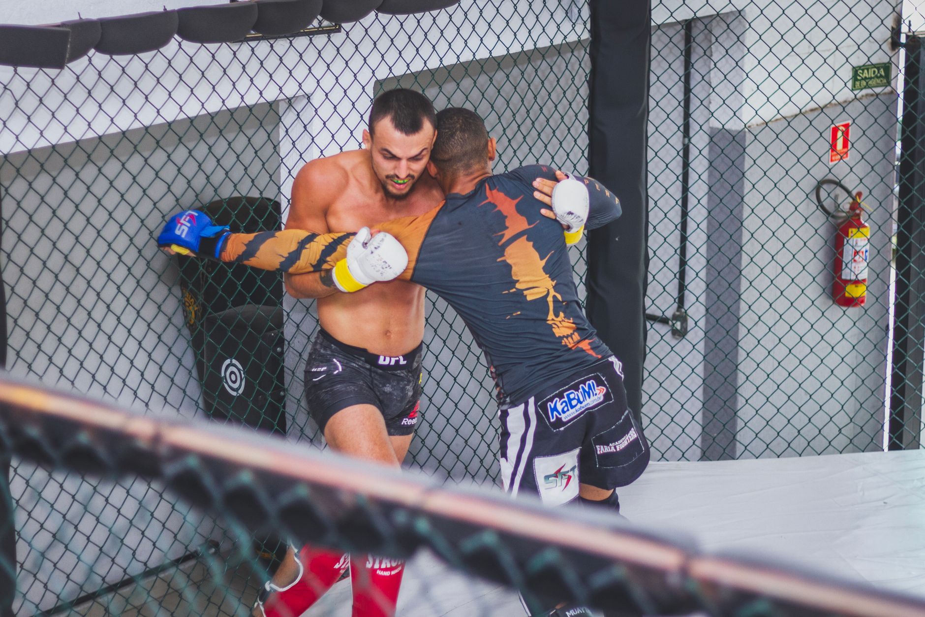combat UFC octogone
