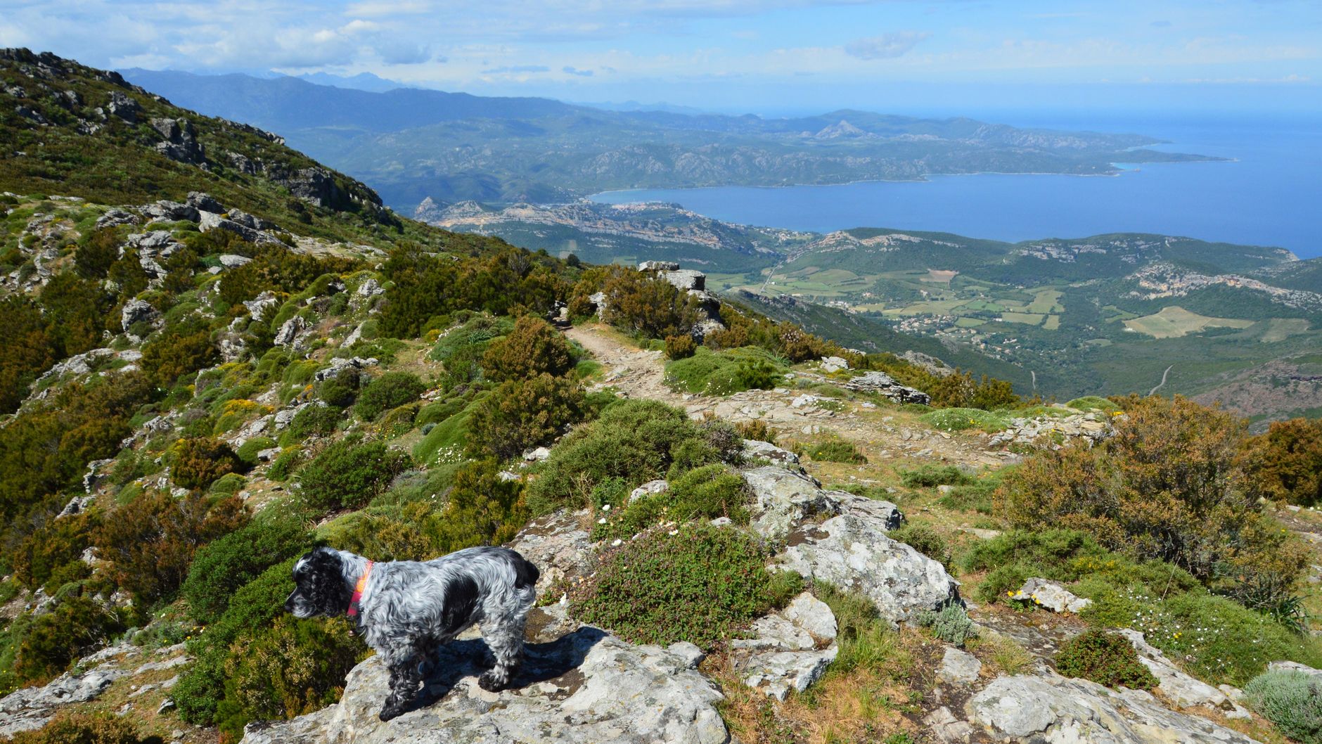 trail GR20 Corse
